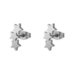 Load image into Gallery viewer, He Made the Stars Earrings
