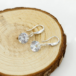 Load image into Gallery viewer, Drop of Love Earrings
